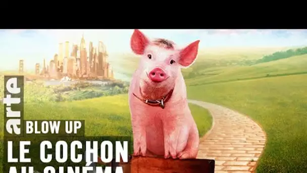 Le Cochon au cinéma - Blow Up - ARTE