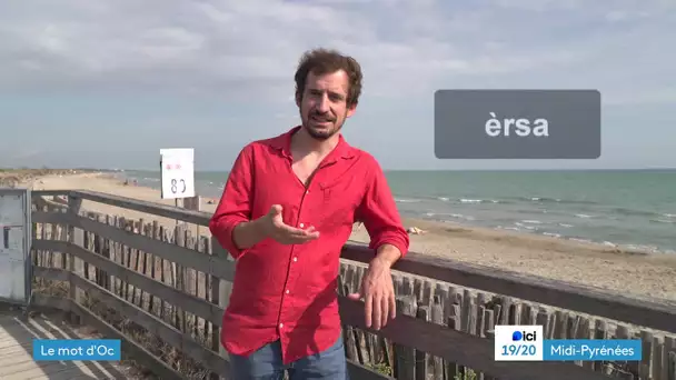 Mot d’oc : la èrsa (la vague)