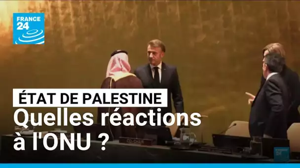 La France reconnaît officiellement l'État de Palestine : les réactions • FRANCE 24