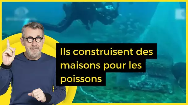 Ils construisent des maisons pour les poissons - C Jamy