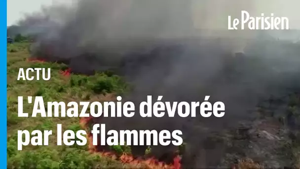 La forêt amazonienne subit ses pires incendies en août depuis 2010