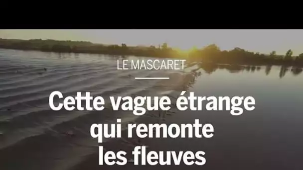 Mascaret : d’où vient cette vague étrange qui remonte les fleuves ?