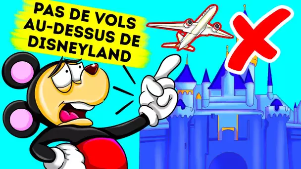 Pourquoi les avions ne peuvent-ils pas survoler Disney Land ?