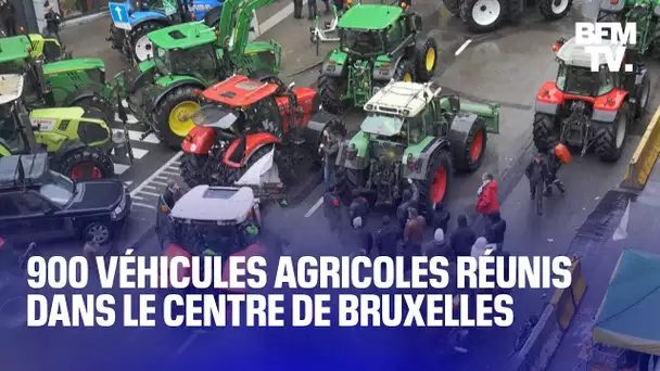 Agriculture: mobilisation à Bruxelles en marge d’une réunion des ministres de l’Agriculture