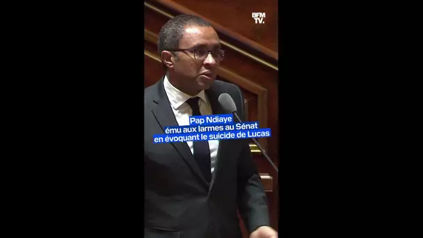 "Il n'y a pas de mots": Pap Ndiaye ému aux larmes au Sénat en évoquant le suicide de Lucas