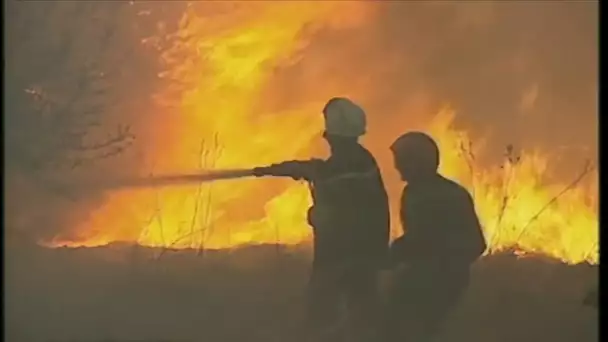 L'été des feux - 1 an après - reportage