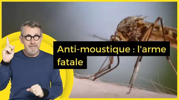 Anti-moustique : l'arme fatale - C Jamy