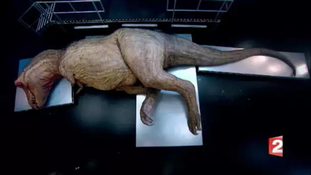 L&#039;autopsie d&#039;un Tyranosaure Rex en direct