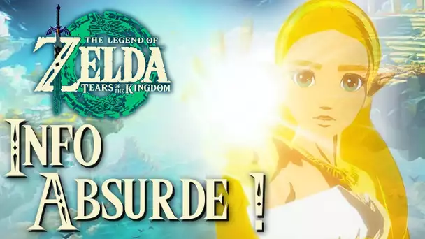 Zelda Tears of the Kingdom : UNE INFO ABSURDE 👎 (BOTW2)