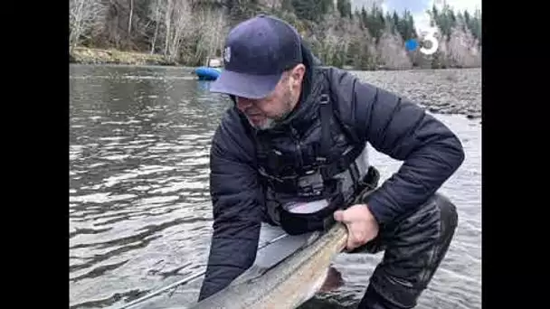 Passion pêche : Philippe Koehler emmène sa canne à pêche pour sa promenade de reconfinement