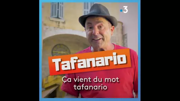 Parlez-vous le sud ? Que veut dire "tafanari" ?