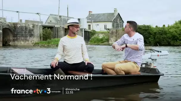 Vachement Normand! les marais du Cotentin