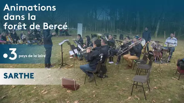 Animations dans la forêt de Bercé en Sarthe