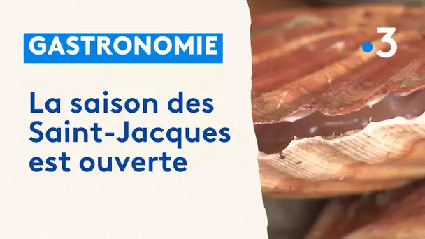 La saison des Saint-Jacques est ouverte au port de Boulogne