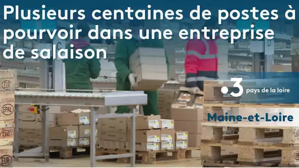 Maine-et-Loire : plusieurs centaines de postes à pourvoir dans une entreprise de salaison.