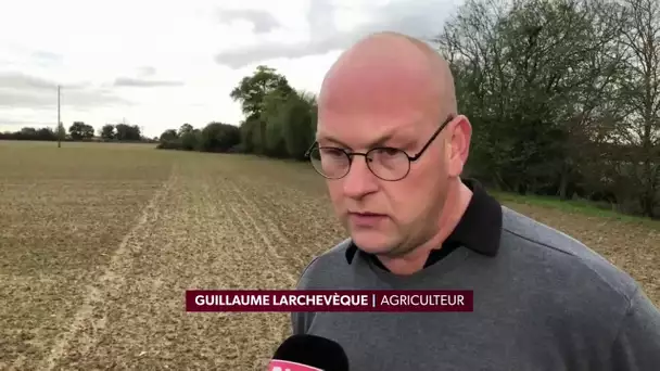 Agribashing: "On se prend des bras d’honneur, des insultes", raconte un agriculteur