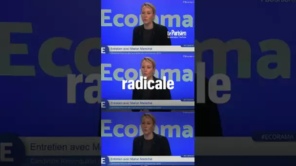 Des clients veulent quitter Boursorama après une interview de Marion Maréchal-Le Pen
