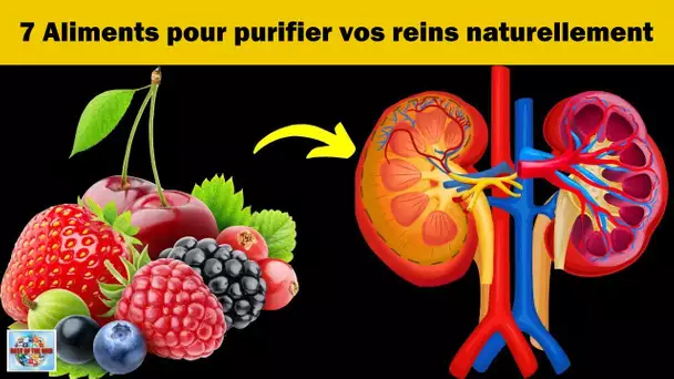 Voici 7 aliments qui vous aideront à nettoyer vos reins