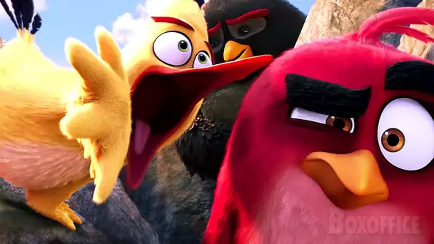 Le cri de guerre secret | Angry Birds: Le film | Extrait VF