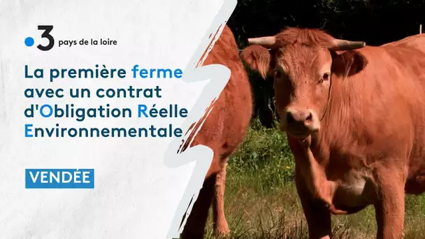 la Maison Neuve : première ferme avec un contrat d'Obligation Réelle Environnementale (ORE)