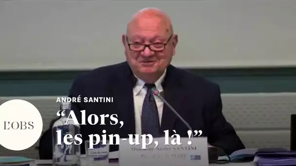"Alors, les pin-up" : les propos sexistes d’André Santini contre deux élues écologistes