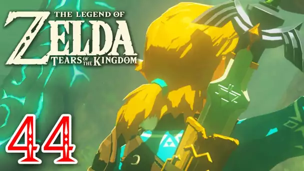 Zelda Tears of the Kingdom #44 | L'arbre Mojo