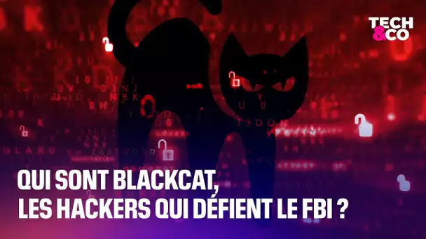 États-Unis : qui sont BlackCat, les hackers qui défient le FBI?