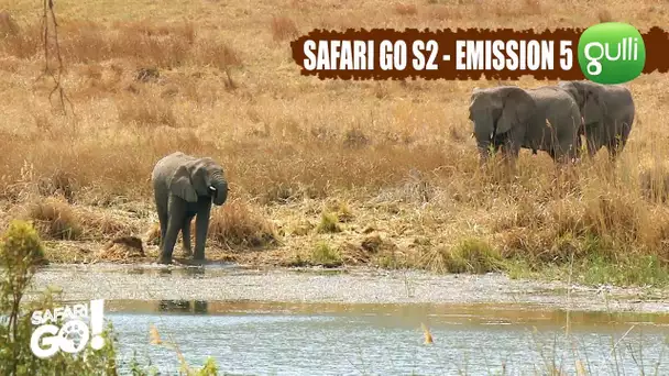 SAFARI GO S2 avec Carole Rousseau sur Gulli - Emission 5, la Finale, en intégralité !