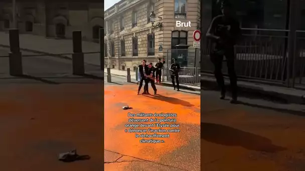 Action devant l'Élysée, de la peinture orange déversée par des militants écologistes