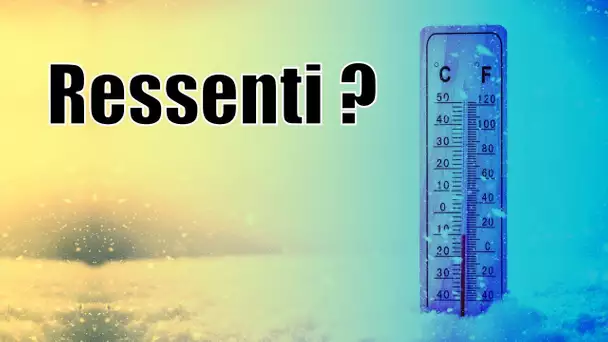 La « température ressentie » : une arnaque ? ❄️🌡️🥶