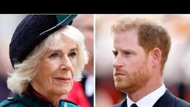 Le prince Harry a averti de ne pas franchir la «ligne rouge» du roi Charles sur Camilla dans un mémo