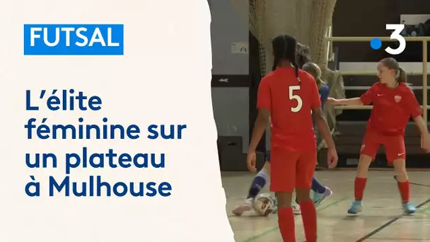 Futsal : l'élite féminine sur un plateau à Mulhouse