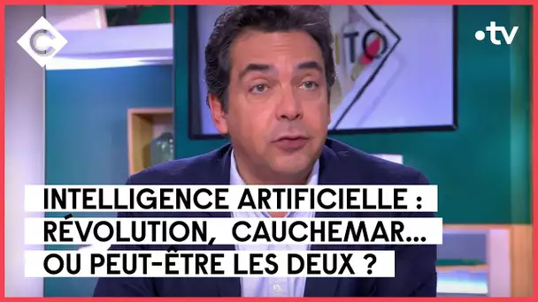 Intelligence artificielle : révolution ou cauchemar ? - Patrick Cohen - C à vous - 31/03/2023