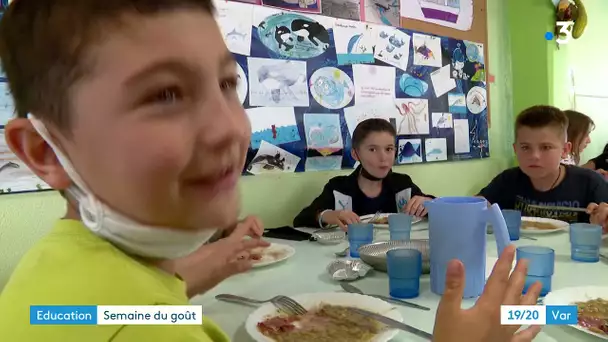 Le Revest-les-Eaux : semaine du goût à l'école