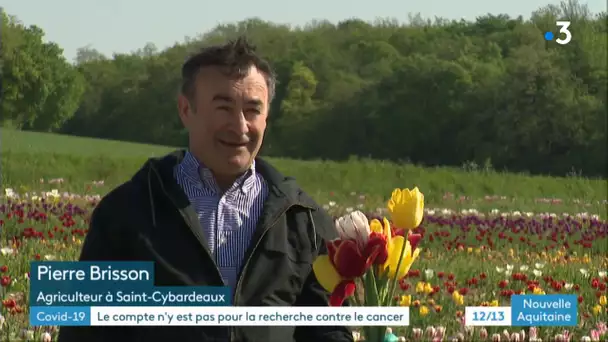 Angoulême : une cagnotte pour les tulipes contre le cancer