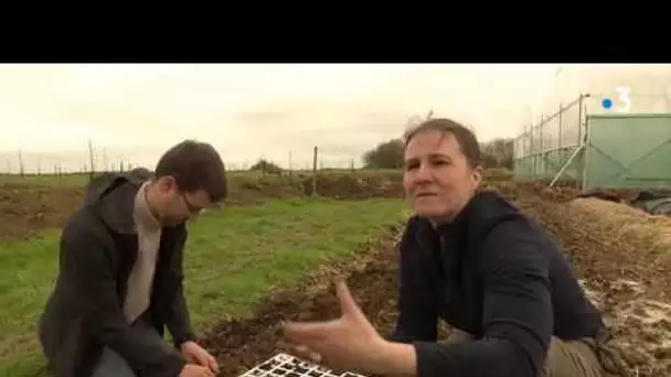agriculture