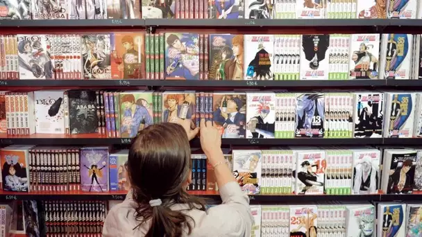 Le piratage des mangas et des animes : bientôt de l'histoire ancienne ?