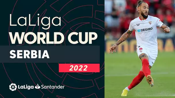 LaLiga juega el Mundial: Serbia