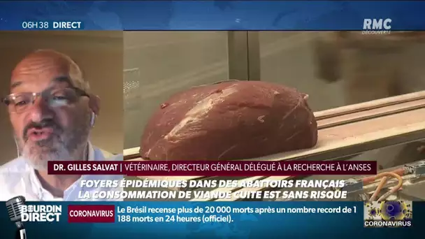 Y a-t-il un risque à manger de la viande passée par les abattoirs touchés par le Covid-19?