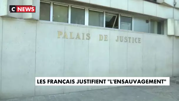 Les Français justifient "l'ensauvagement"