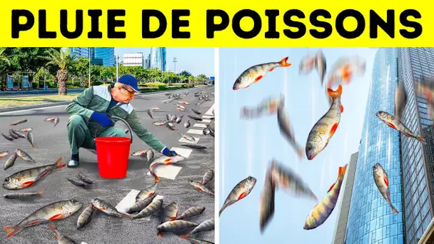 La prochaine fois que tu verras des nuages de pluie, ils pourraient cacher des poissons