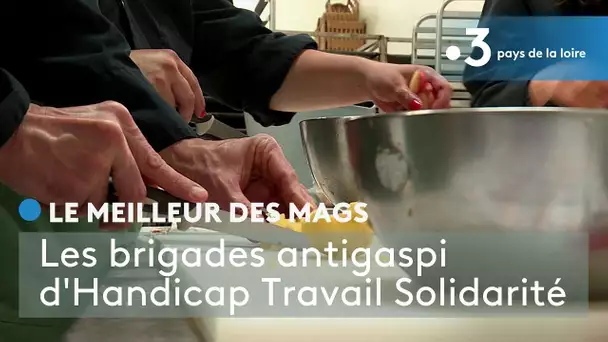 Le meilleur des Mags : les brigades antigaspi de l'association "Handicap Travail Solidarité"