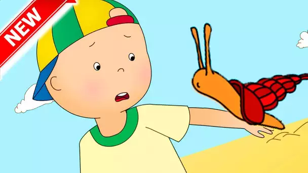 Caillou en Français | Caillou et les Animaux Marins | dessin animé | dessin animé pour bébé