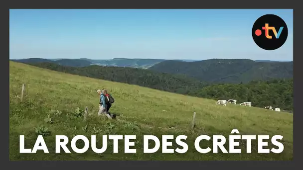 Balades en été : découvrez la route des Crêtes du massif des Vosges