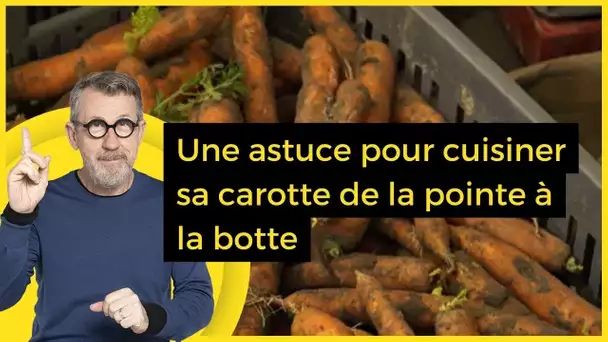 Une astuce pour cuisiner sa carotte de la pointe à la botte - C Jamy