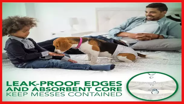 Vet's Best Comfort Fit Dog Diapers | Disposable Female Dog Diapers | Absorbent with Leak Proof Fit