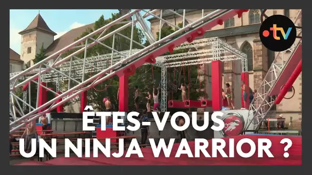 Un parcours de ninja en Alsace