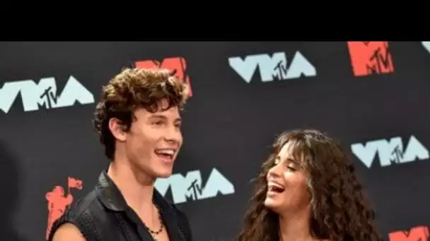 Camila Cabello et Shawn Mendes amoureux depuis de nombreuses années : pourquoi...