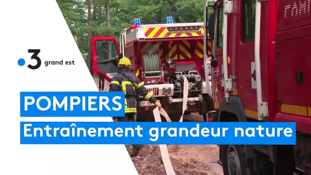 80 pompiers réalisent une manœuvre d'entraînement feu de forêt