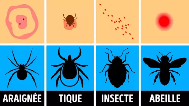 Comment Identifier une Piqûre d'Insecte et que Faire Quand ça Arrive